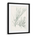 Sage Green Seaweed Iv - Vision Studio | Cuadro decorativo de Canvas Lab