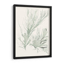 Sage Green Seaweed Iv - Vision Studio | Cuadro decorativo de Canvas Lab