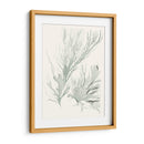 Sage Green Seaweed Iv - Vision Studio | Cuadro decorativo de Canvas Lab