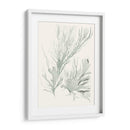 Sage Green Seaweed Iv - Vision Studio | Cuadro decorativo de Canvas Lab