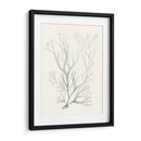 Sage Green Seaweed V - Vision Studio | Cuadro decorativo de Canvas Lab