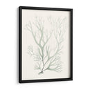 Sage Green Seaweed V - Vision Studio | Cuadro decorativo de Canvas Lab
