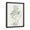 Sage Green Seaweed Vi - Vision Studio | Cuadro decorativo de Canvas Lab