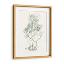 Sage Green Seaweed Vi - Vision Studio | Cuadro decorativo de Canvas Lab