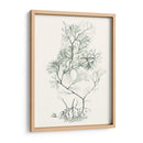 Sage Green Seaweed Vi - Vision Studio | Cuadro decorativo de Canvas Lab