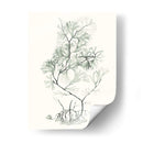 Sage Green Seaweed Vi - Vision Studio | Cuadro decorativo de Canvas Lab