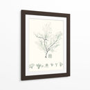 Sage Green Seaweed Vii - Vision Studio | Cuadro decorativo de Canvas Lab