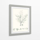 Sage Green Seaweed Vii - Vision Studio | Cuadro decorativo de Canvas Lab