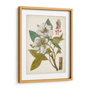 Encanto Vintage I - Vision Studio | Cuadro decorativo de Canvas Lab