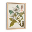 Encanto Vintage I - Vision Studio | Cuadro decorativo de Canvas Lab