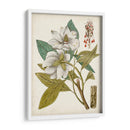 Encanto Vintage I - Vision Studio | Cuadro decorativo de Canvas Lab