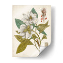 Encanto Vintage I - Vision Studio | Cuadro decorativo de Canvas Lab