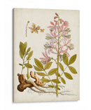 Charm Vintage Ii - Vision Studio | Cuadro decorativo de Canvas Lab