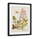 Charm Vintage Ii - Vision Studio | Cuadro decorativo de Canvas Lab