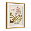 Charm Vintage Ii - Vision Studio | Cuadro decorativo de Canvas Lab