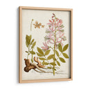 Charm Vintage Ii - Vision Studio | Cuadro decorativo de Canvas Lab