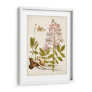 Charm Vintage Ii - Vision Studio | Cuadro decorativo de Canvas Lab