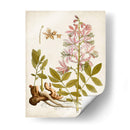 Charm Vintage Ii - Vision Studio | Cuadro decorativo de Canvas Lab