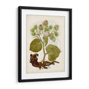 Charm Vintage Iii - Vision Studio | Cuadro decorativo de Canvas Lab