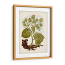 Charm Vintage Iii - Vision Studio | Cuadro decorativo de Canvas Lab