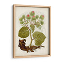 Charm Vintage Iii - Vision Studio | Cuadro decorativo de Canvas Lab