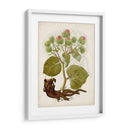 Charm Vintage Iii - Vision Studio | Cuadro decorativo de Canvas Lab