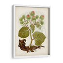 Charm Vintage Iii - Vision Studio | Cuadro decorativo de Canvas Lab