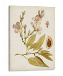 Charm Vintage Iv - Vision Studio | Cuadro decorativo de Canvas Lab