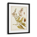 Charm Vintage Iv - Vision Studio | Cuadro decorativo de Canvas Lab