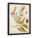 Charm Vintage Iv - Vision Studio | Cuadro decorativo de Canvas Lab