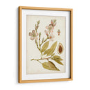 Charm Vintage Iv - Vision Studio | Cuadro decorativo de Canvas Lab