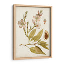 Charm Vintage Iv - Vision Studio | Cuadro decorativo de Canvas Lab