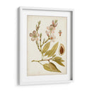 Charm Vintage Iv - Vision Studio | Cuadro decorativo de Canvas Lab