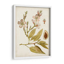 Charm Vintage Iv - Vision Studio | Cuadro decorativo de Canvas Lab