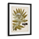 Encanto Vintage V - Vision Studio | Cuadro decorativo de Canvas Lab