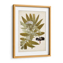 Encanto Vintage V - Vision Studio | Cuadro decorativo de Canvas Lab