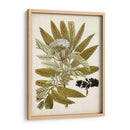 Encanto Vintage V - Vision Studio | Cuadro decorativo de Canvas Lab