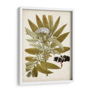 Encanto Vintage V - Vision Studio | Cuadro decorativo de Canvas Lab