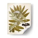 Encanto Vintage V - Vision Studio | Cuadro decorativo de Canvas Lab