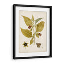 Charm Vintage Vi - Vision Studio | Cuadro decorativo de Canvas Lab