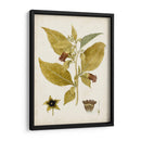 Charm Vintage Vi - Vision Studio | Cuadro decorativo de Canvas Lab