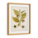 Charm Vintage Vi - Vision Studio | Cuadro decorativo de Canvas Lab