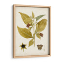 Charm Vintage Vi - Vision Studio | Cuadro decorativo de Canvas Lab