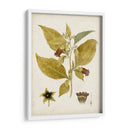 Charm Vintage Vi - Vision Studio | Cuadro decorativo de Canvas Lab