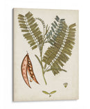 Charm Vintage Vii - Vision Studio | Cuadro decorativo de Canvas Lab