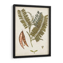 Charm Vintage Vii - Vision Studio | Cuadro decorativo de Canvas Lab