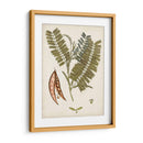 Charm Vintage Vii - Vision Studio | Cuadro decorativo de Canvas Lab