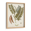 Charm Vintage Vii - Vision Studio | Cuadro decorativo de Canvas Lab