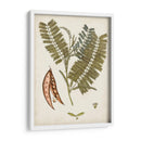 Charm Vintage Vii - Vision Studio | Cuadro decorativo de Canvas Lab