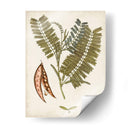 Charm Vintage Vii - Vision Studio | Cuadro decorativo de Canvas Lab